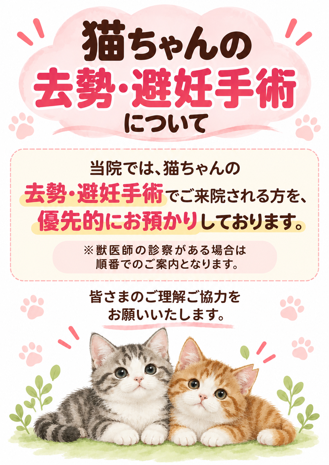 猫の去勢避妊案内